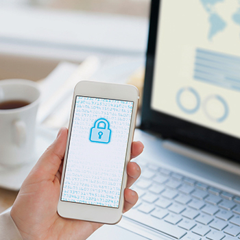 LanguageCert selt - private policy