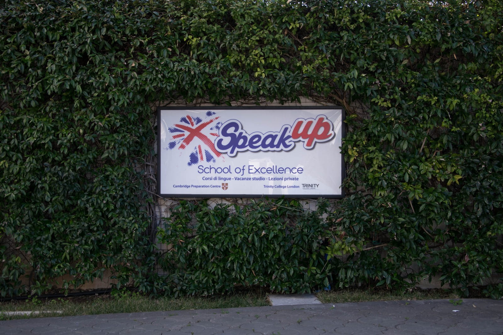 SPEAK UP SRL - Imagen 3 de LanguageCert