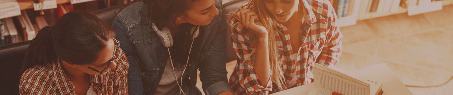 LanguageCert higher education - banner